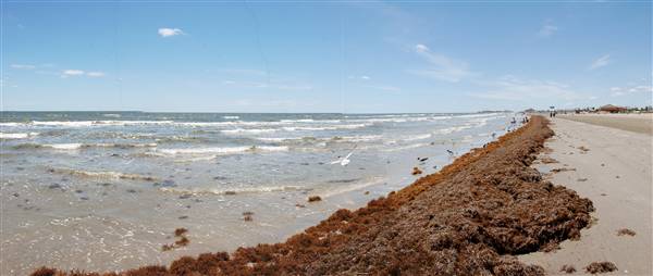 Stewart Beach (4/19/2012)