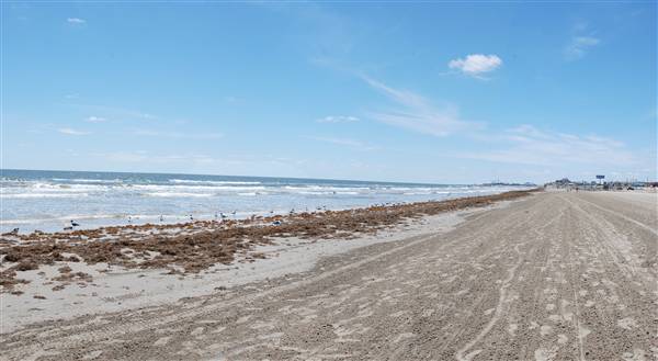 Stewart Beach (4/19/2012)