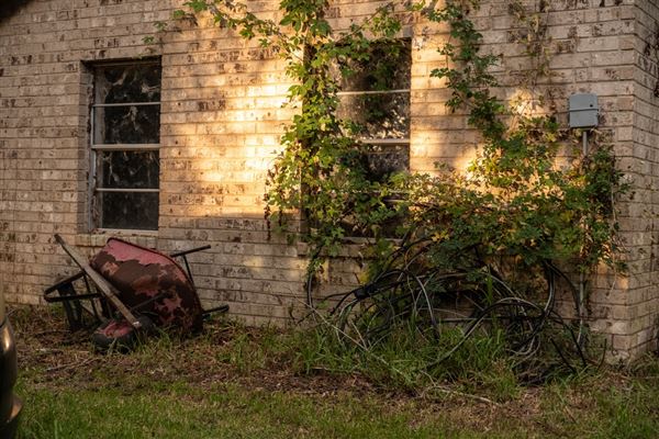 The Oaks of Anahuac (8/8/2025 - Credits: Jeff Fitlow Photography)