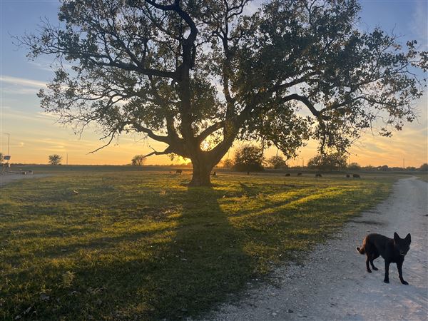 Evans Ranch (9/20/2024 - Credits: submitted by: kate evans)