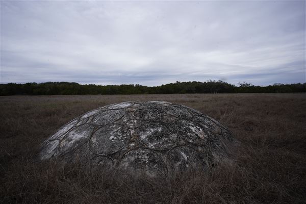 Four Winns Ranch (1/29/2026 - Credits: Jamal Burrell)