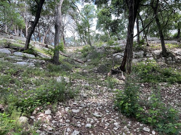 Riva Ridge (2/4/2026 - Credits: submitted by: Sabina  Nugent)