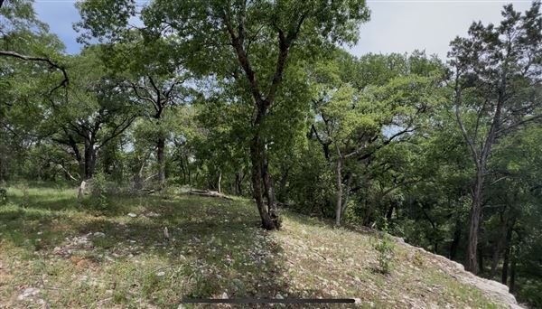 Riva Ridge (2/4/2026 - Credits: submitted by: Sabina  Nugent)