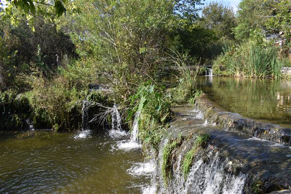 Hamilton Greenbelt Park (1/12/2026 - Credits: City of Lakeway)