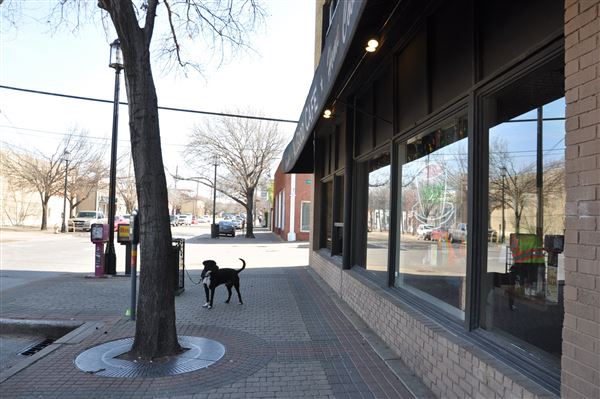 AllGood Cafe (3/9/2026 - Credits: Austin Flores)