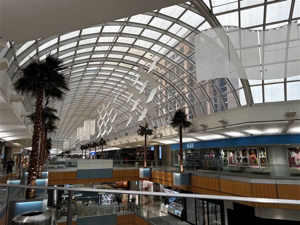 Galleria Dallas (10/6/2025 - Credits: Austin Flores)