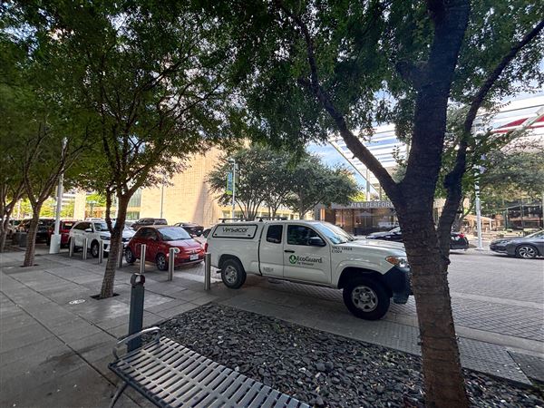 Flora Street (10/6/2025 - Credits: Austin Flores)