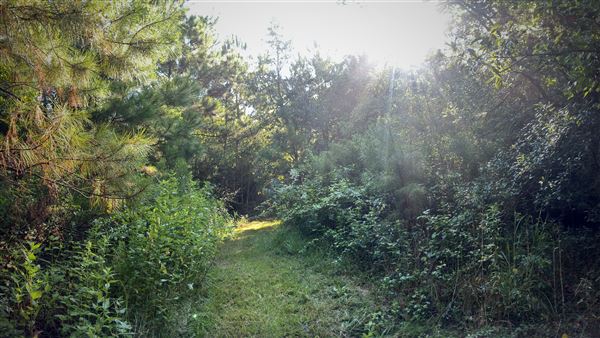 The Oaks of Anahuac (9/12/2025 - Credits: Houston Film Commission)