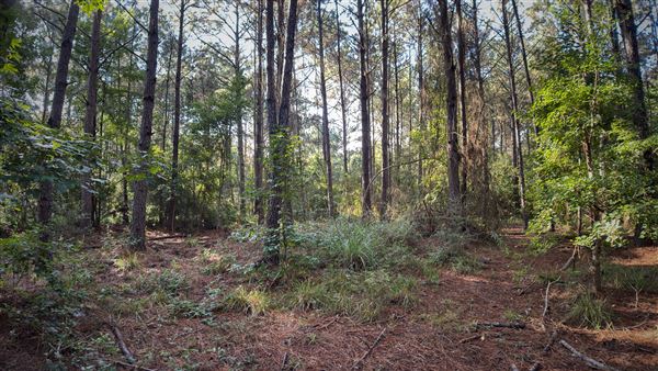 The Oaks of Anahuac (9/12/2025 - Credits: Houston Film Commission)