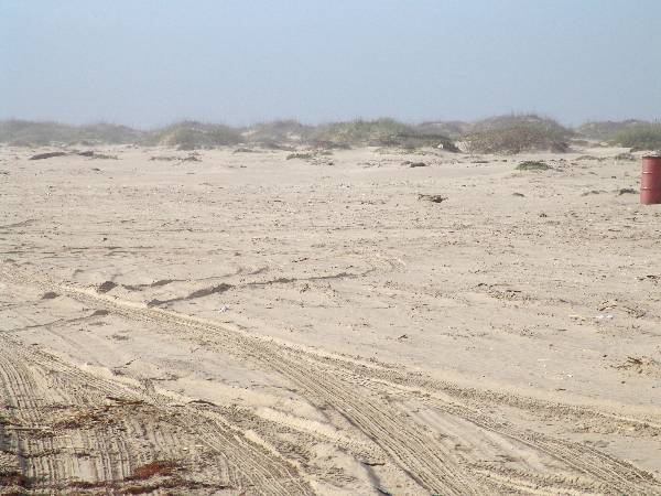 Boca Chica Beach & Dunes (3/2/2005)
