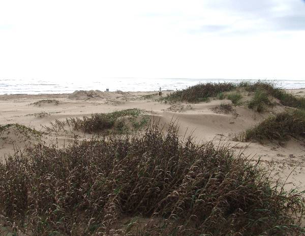 Boca Chica Beach & Dunes (3/2/2005)