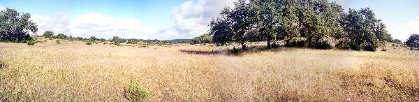 Storm Ranch (10/1/2001)