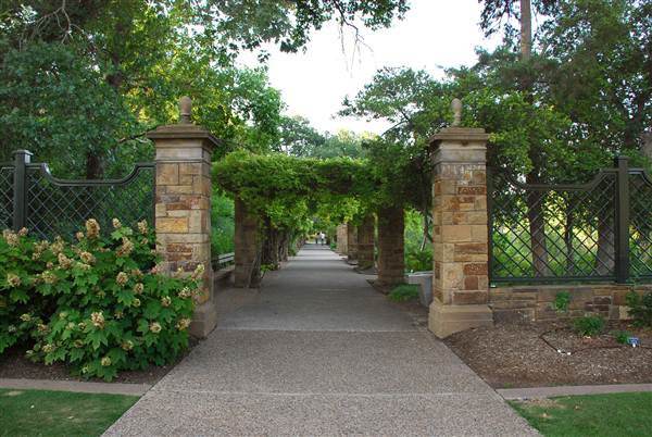 Fort Worth Botanic Garden - Rose Garden (5/16/2012)