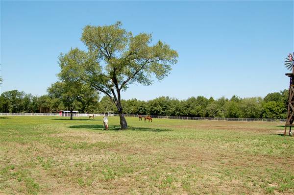 JR Stables (8/22/2012)