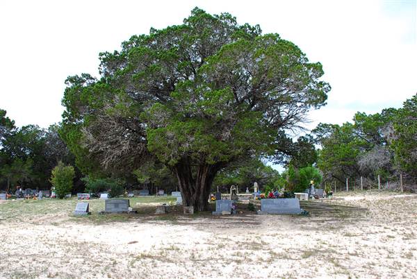 Polly Cemetery (10/8/2012)