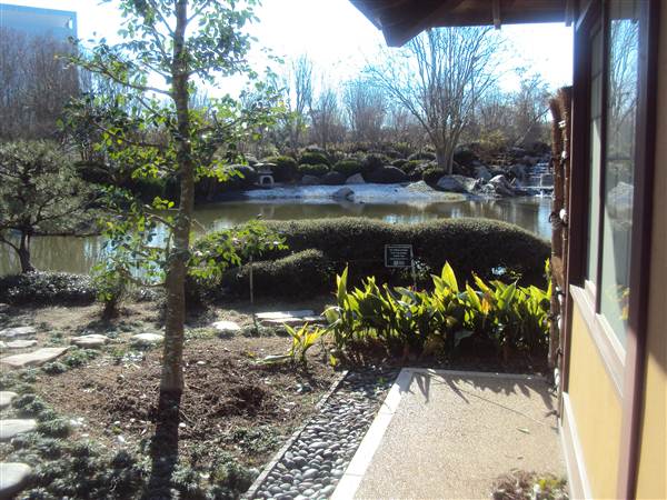 Japanese Garden in Hermann Park (3/7/2013)