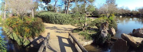 Japanese Garden in Hermann Park (3/7/2013)