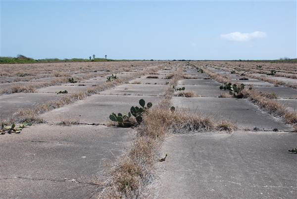 Matagorda Island (4/4/2013)