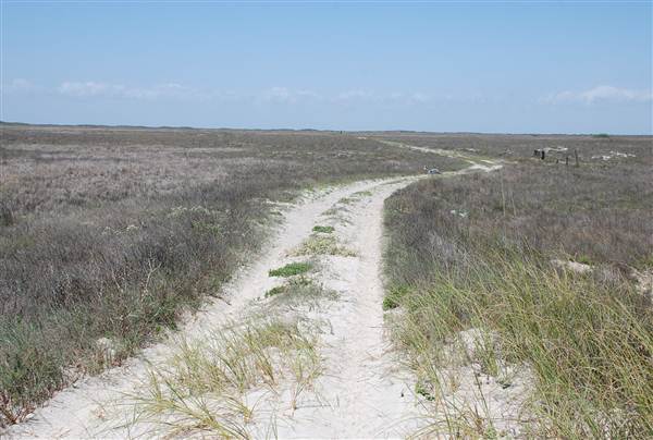 Matagorda Island (4/4/2013)