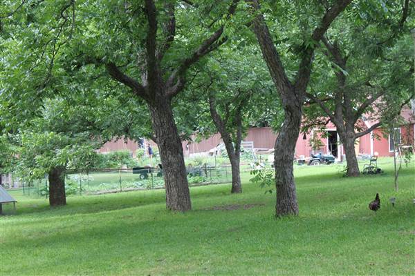 Ward House (6/19/2014)