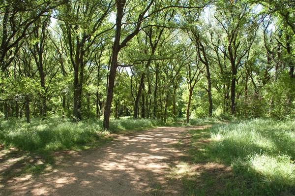 Oliver Nature Park (5/1/2014)