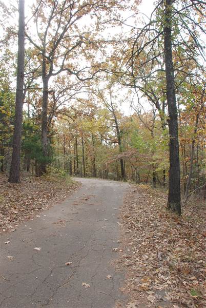 Davey Dogwood Park (11/13/2014)