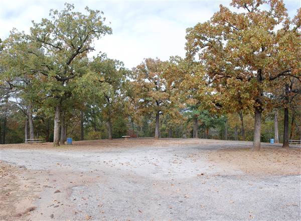 Davey Dogwood Park (11/13/2014)