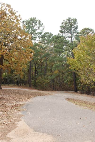 Davey Dogwood Park (11/13/2014)