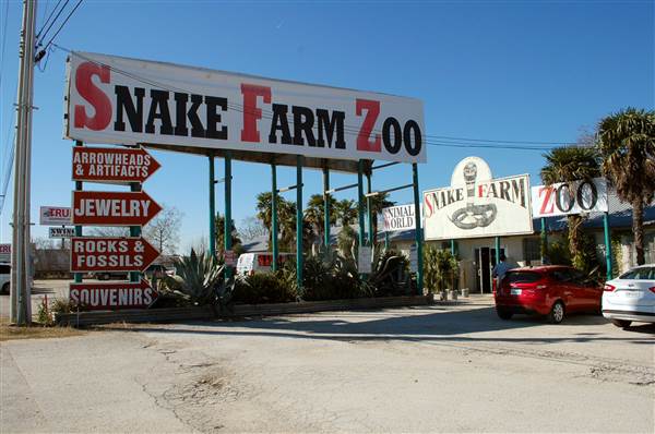 Animal World and Snake Farm (1/19/2015)