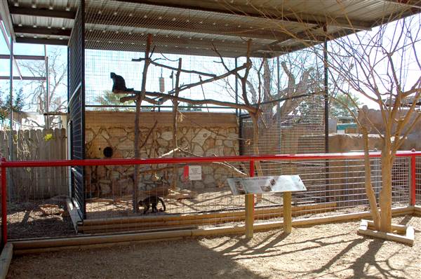 Animal World and Snake Farm (1/19/2015)