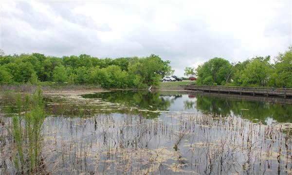 Cedar Hill State Park (4/13/2015)