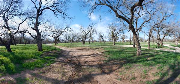 Lake Sweetwater Municipal Park (3/25/2015)