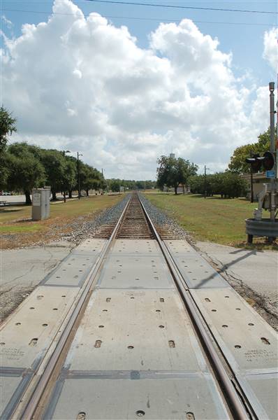 Flatonia (9/6/2015)
