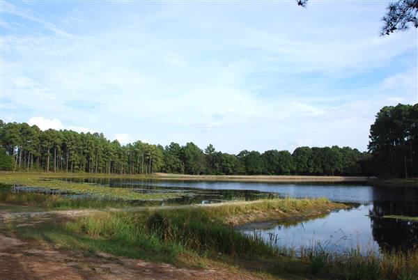 Faulkner Park (10/7/2015)