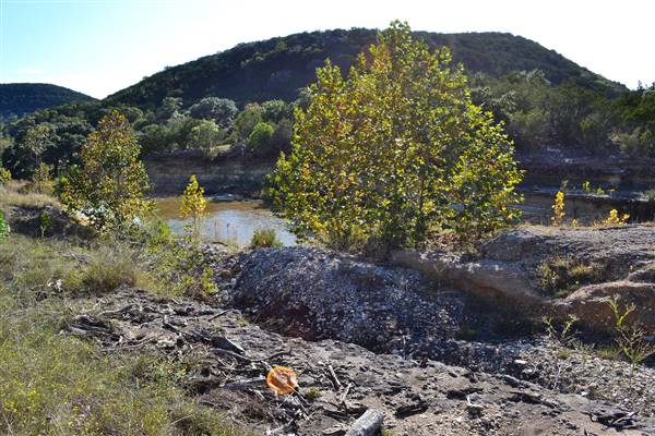 Madrone Ranch (11/12/2015)