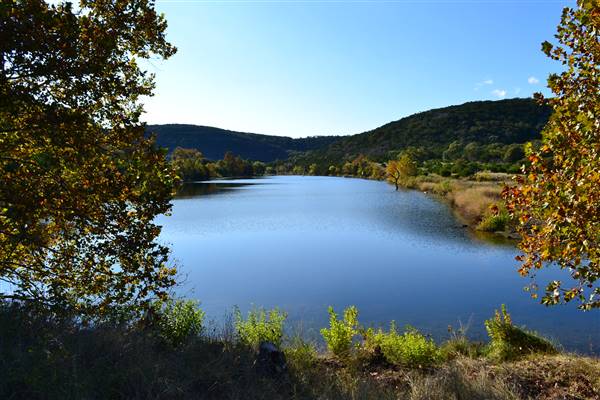 Madrone Ranch (11/12/2015)