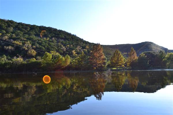 Madrone Ranch (11/12/2015)