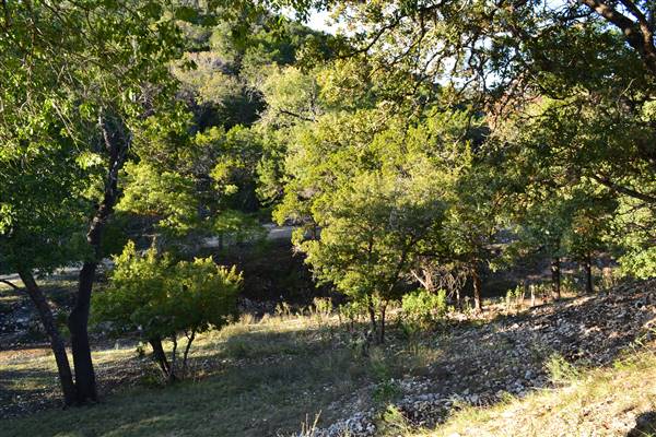 Madrone Ranch (11/12/2015)