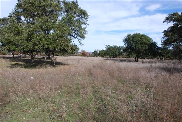 Longhorn River Ranch (12/9/2015)