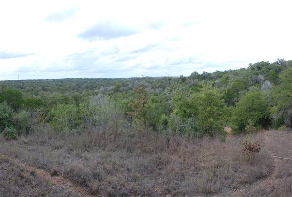 McKinney Roughs Nature Park (11/5/2015)