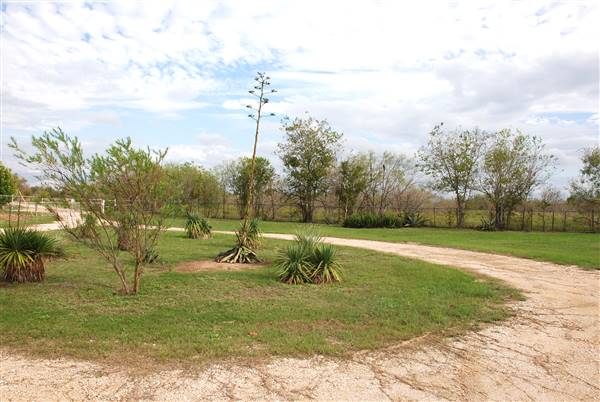 McKinney Roughs Nature Park (11/5/2015)