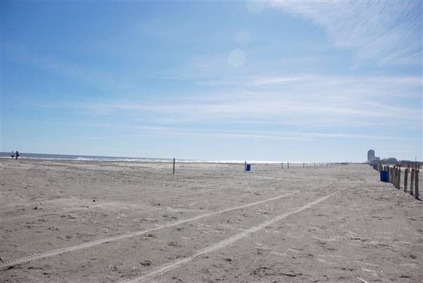 East Beach (2/16/2016)
