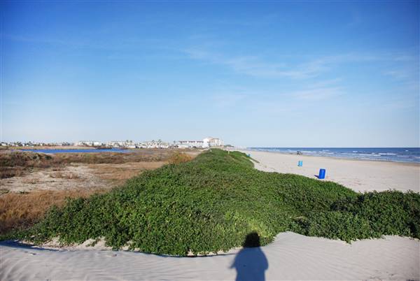Beach Pocket Park #1 (2/16/2016)