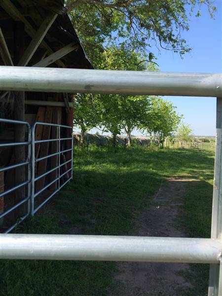 Maeshill Farm (4/18/2016)