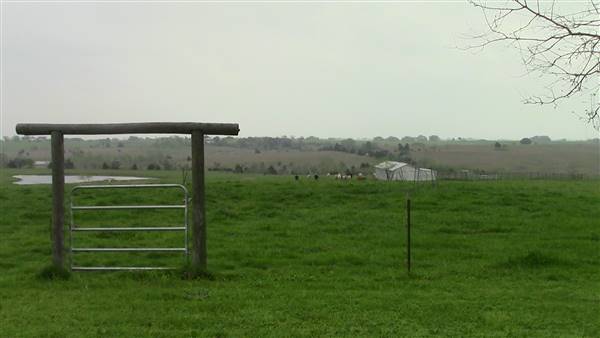 Maeshill Farm (4/18/2016)