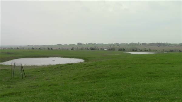 Maeshill Farm (4/18/2016)
