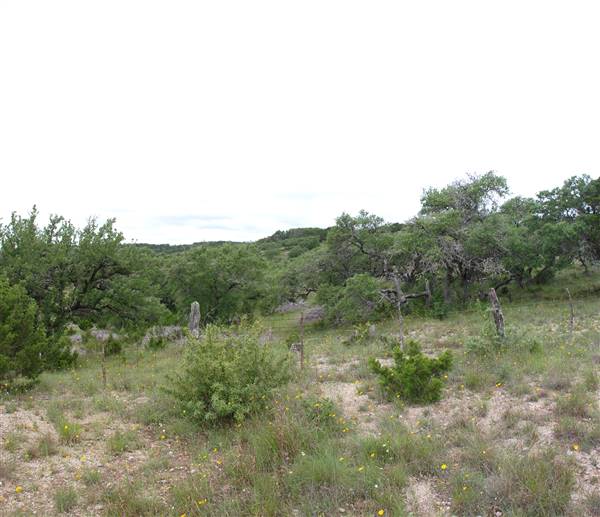 Storm Ranch (5/10/2016)