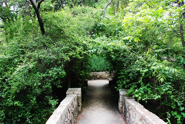 Davis Park (4/14/2016)