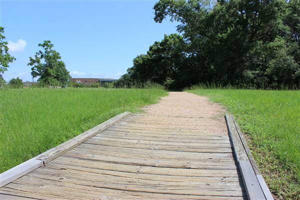 Seabrook Hike & Bike Trails (6/16/2016)