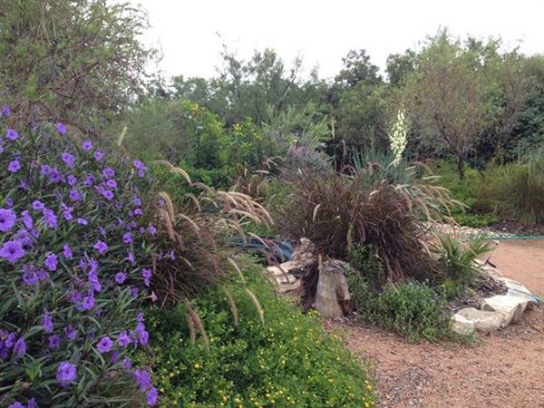 Eden (10/13/2016)